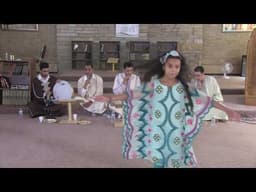 anachiid